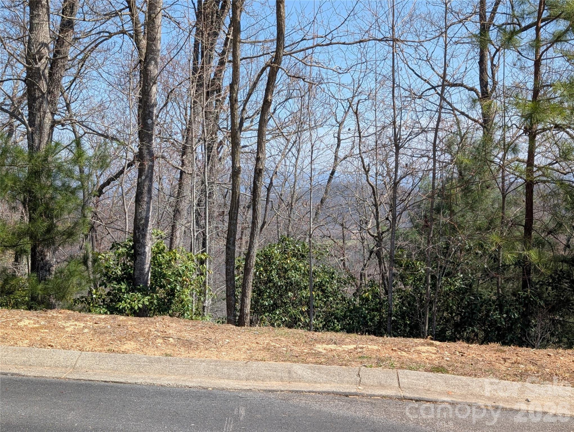 1094 Mills River Way - Photo 13