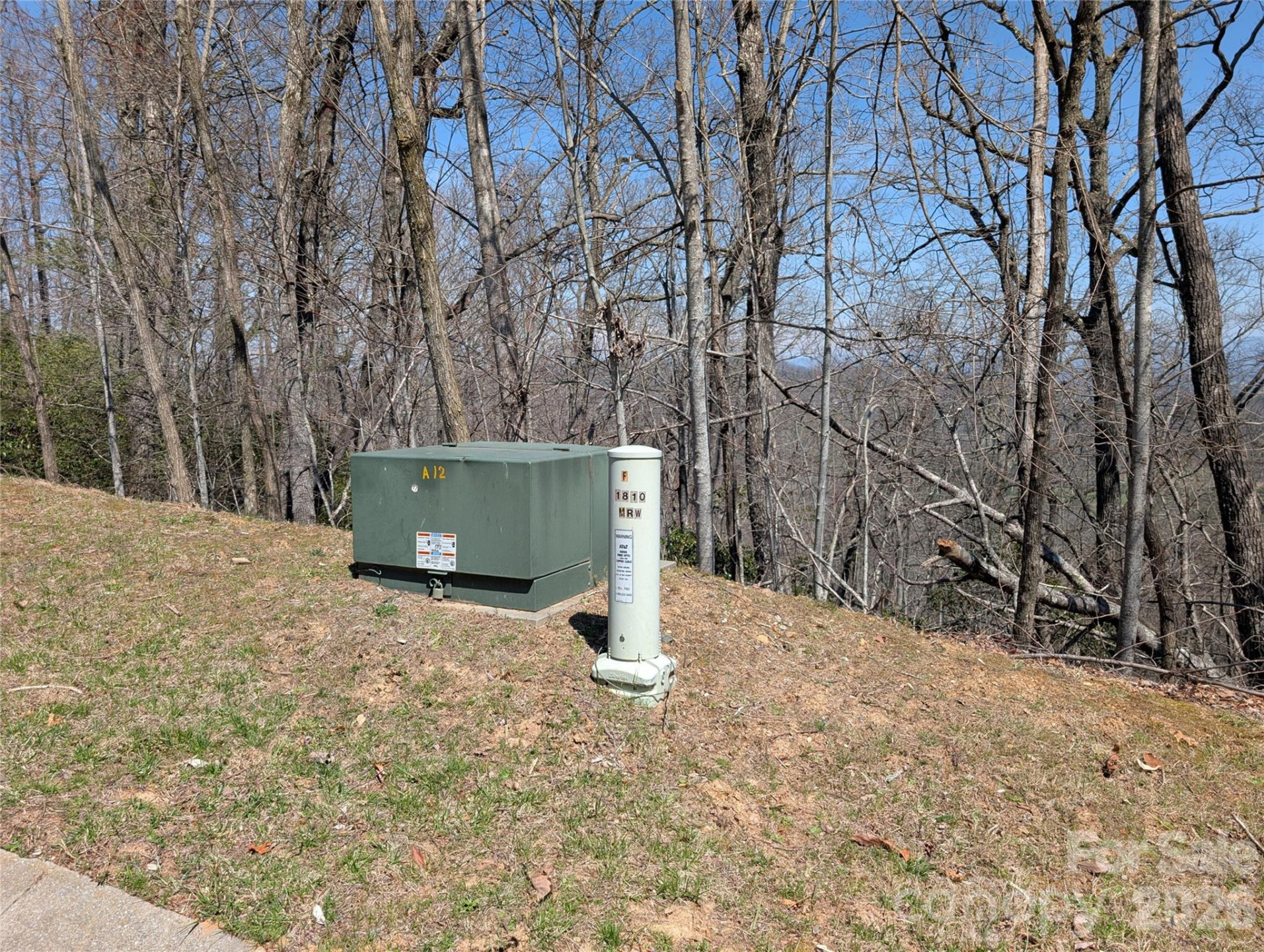 1094 Mills River Way - Photo 14