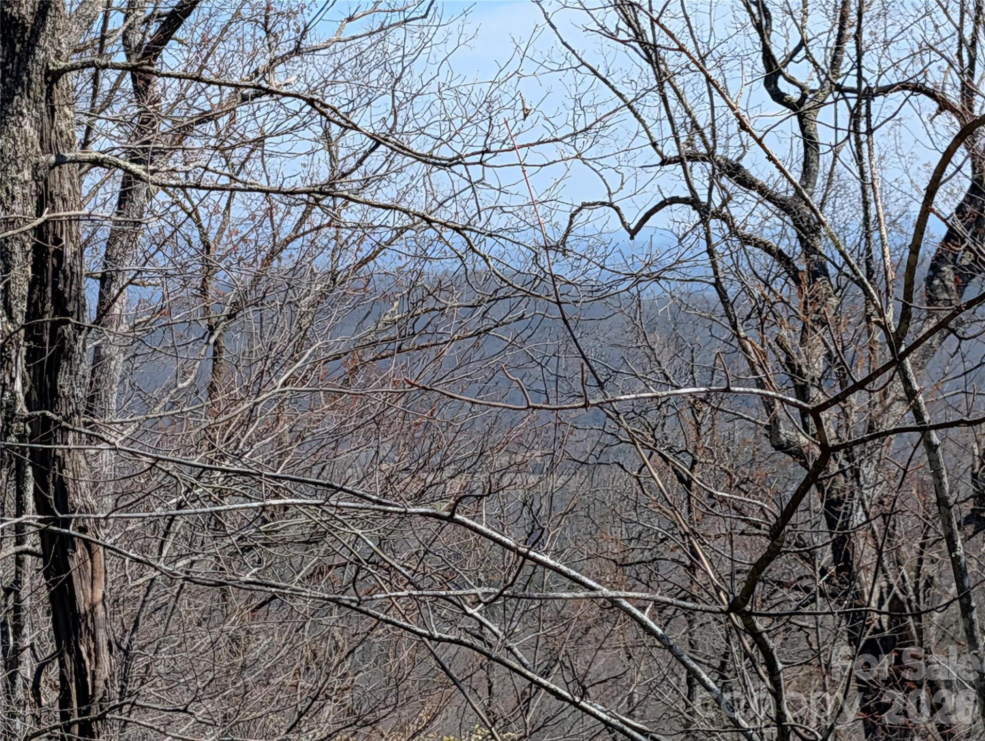 1094 Mills River Way - Photo 3