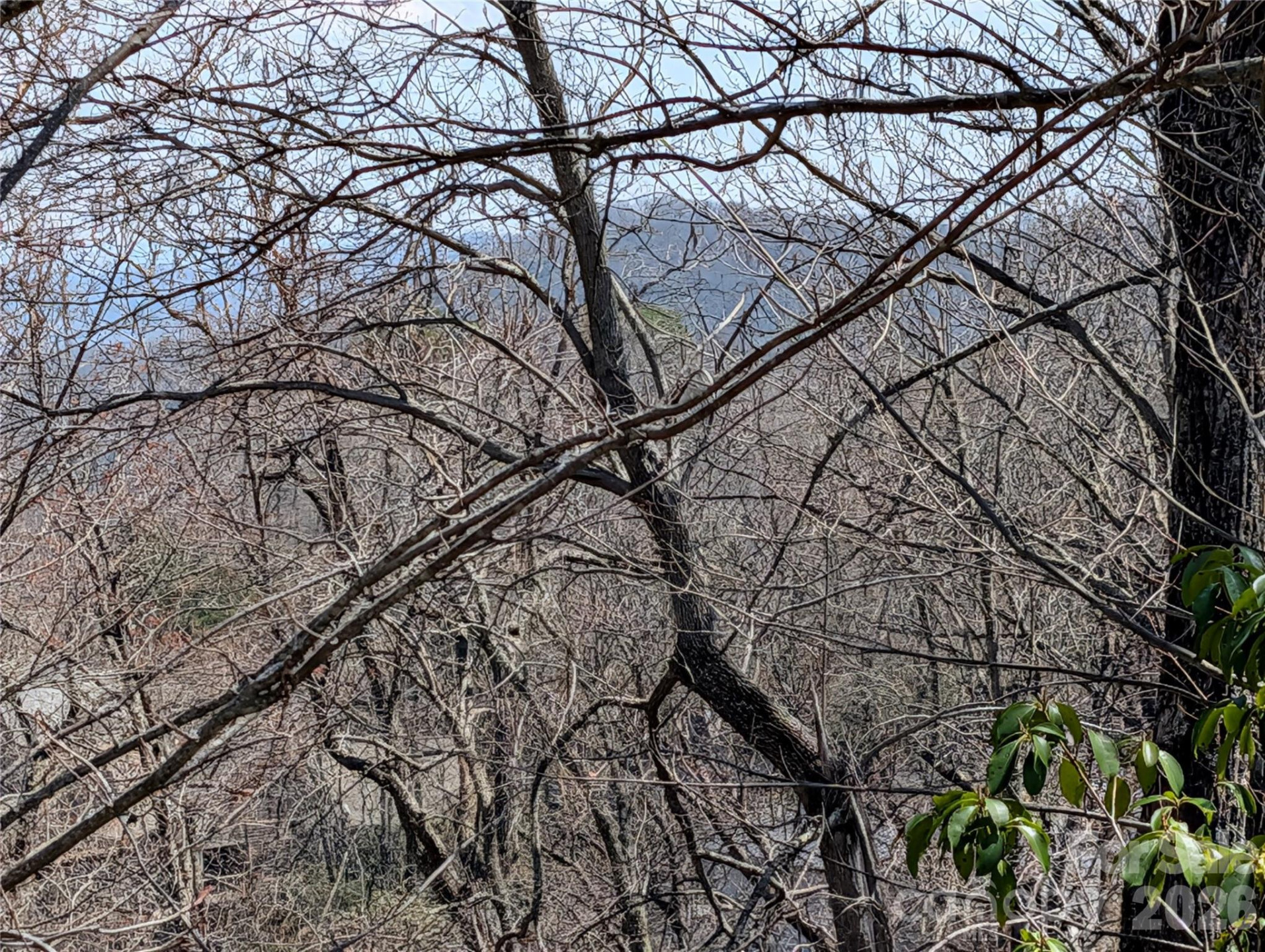 1094 Mills River Way - Photo 4