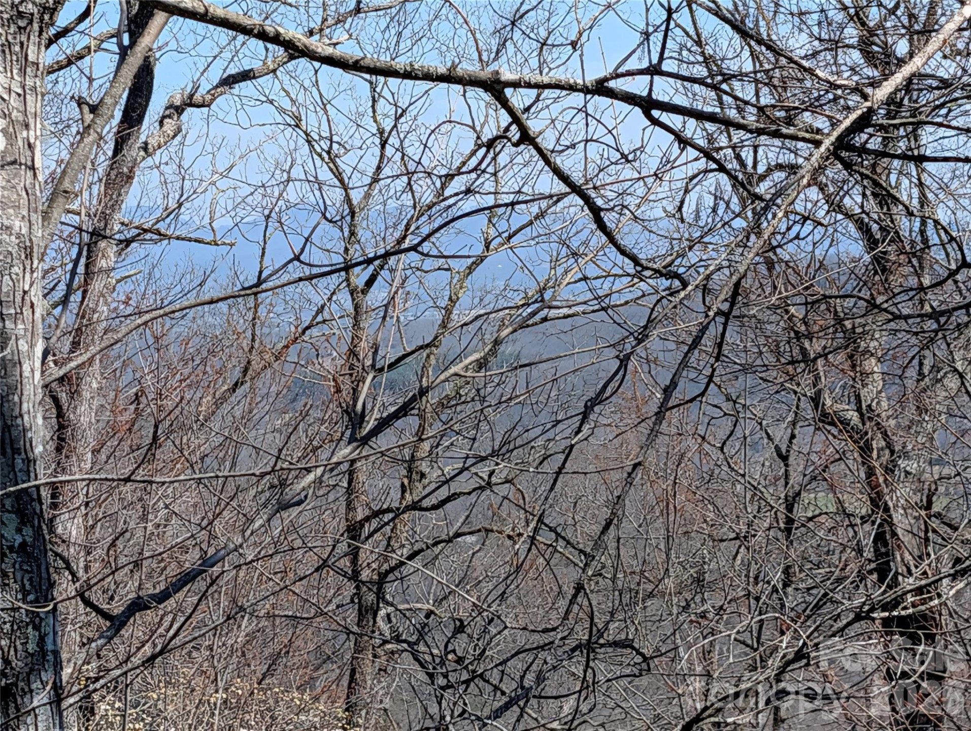 1094 Mills River Way - Photo 5