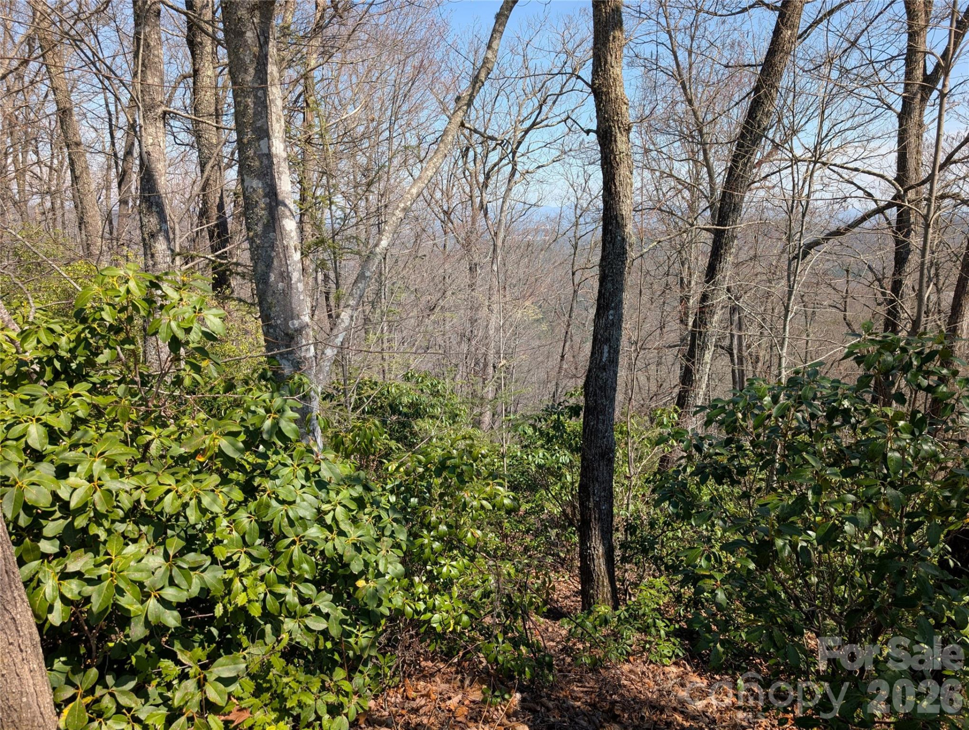 1094 Mills River Way - Photo 6