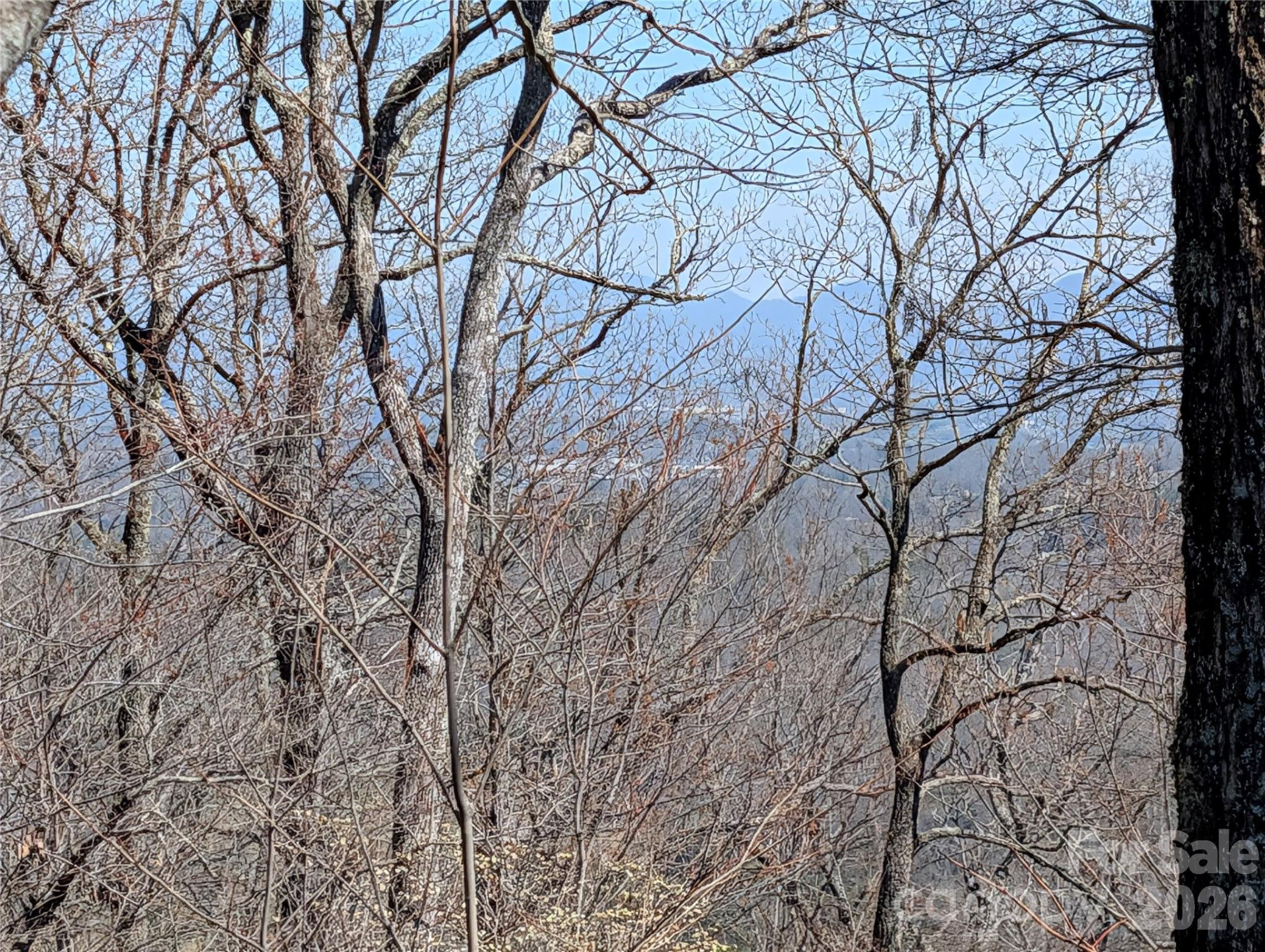 1094 Mills River Way - Photo 7