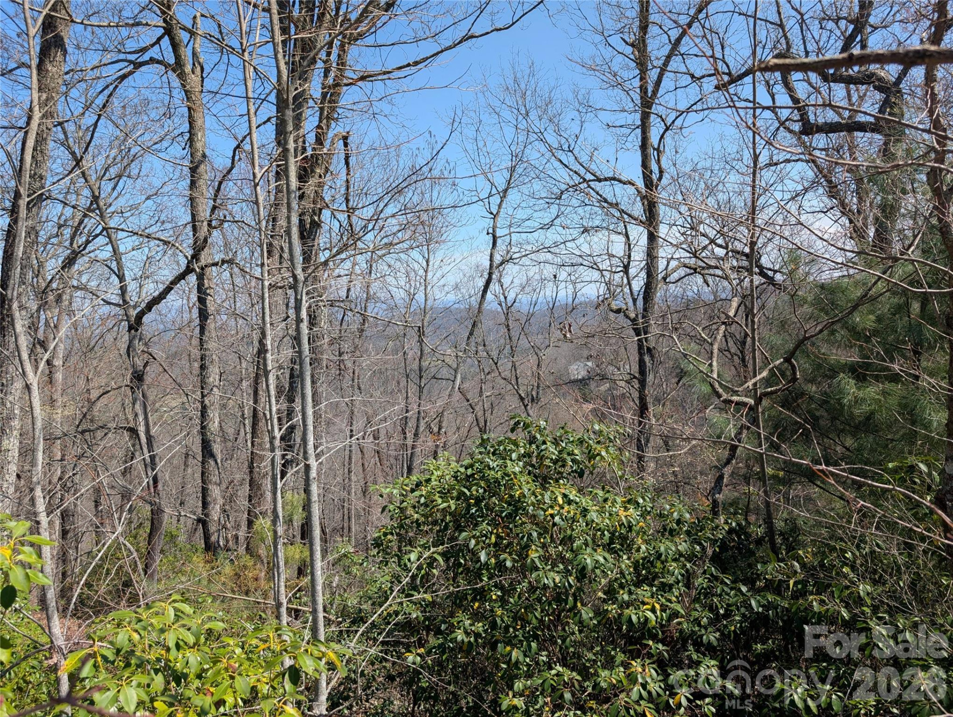 1094 Mills River Way - Photo 8