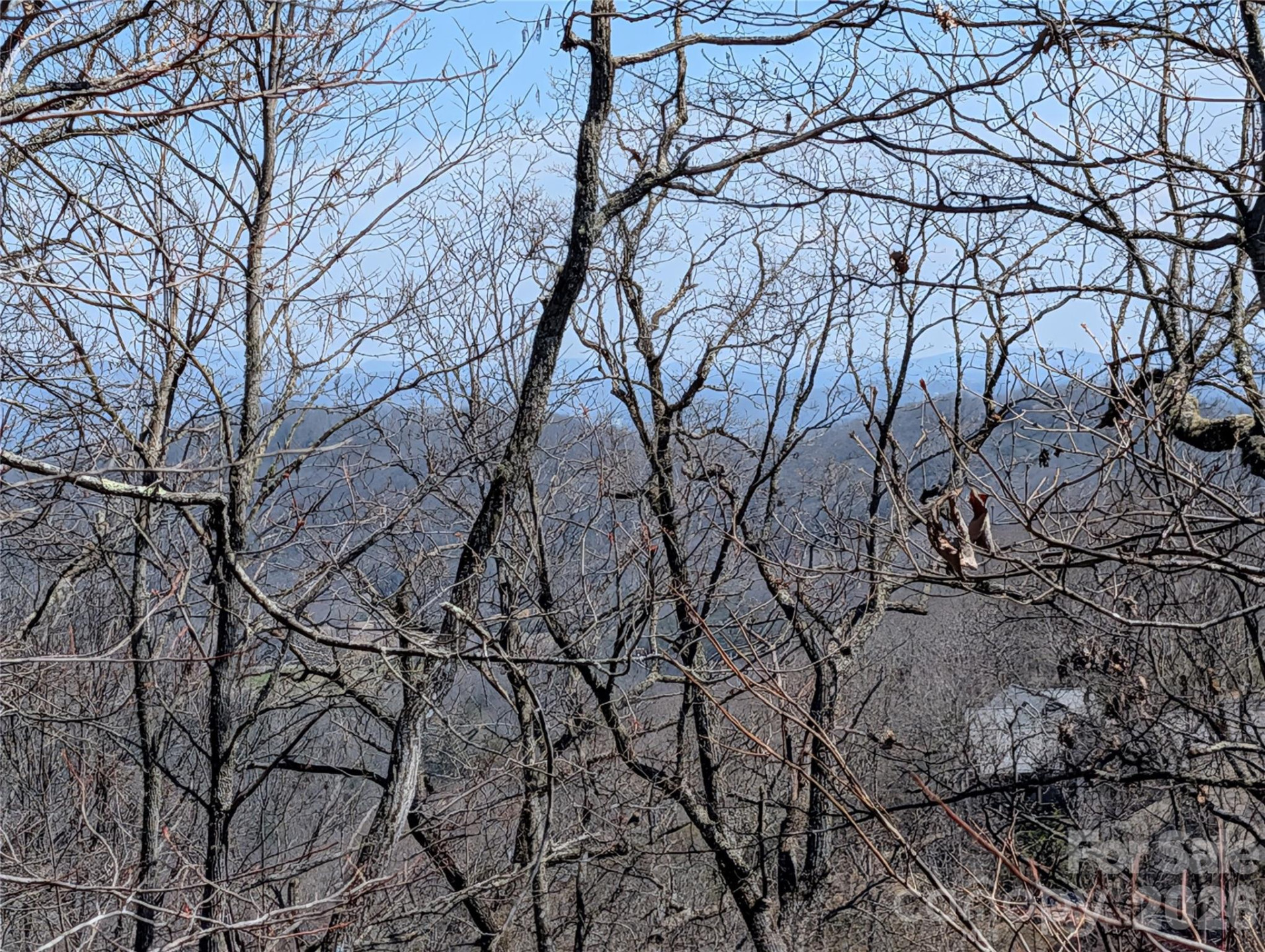 1094 Mills River Way - Photo 9