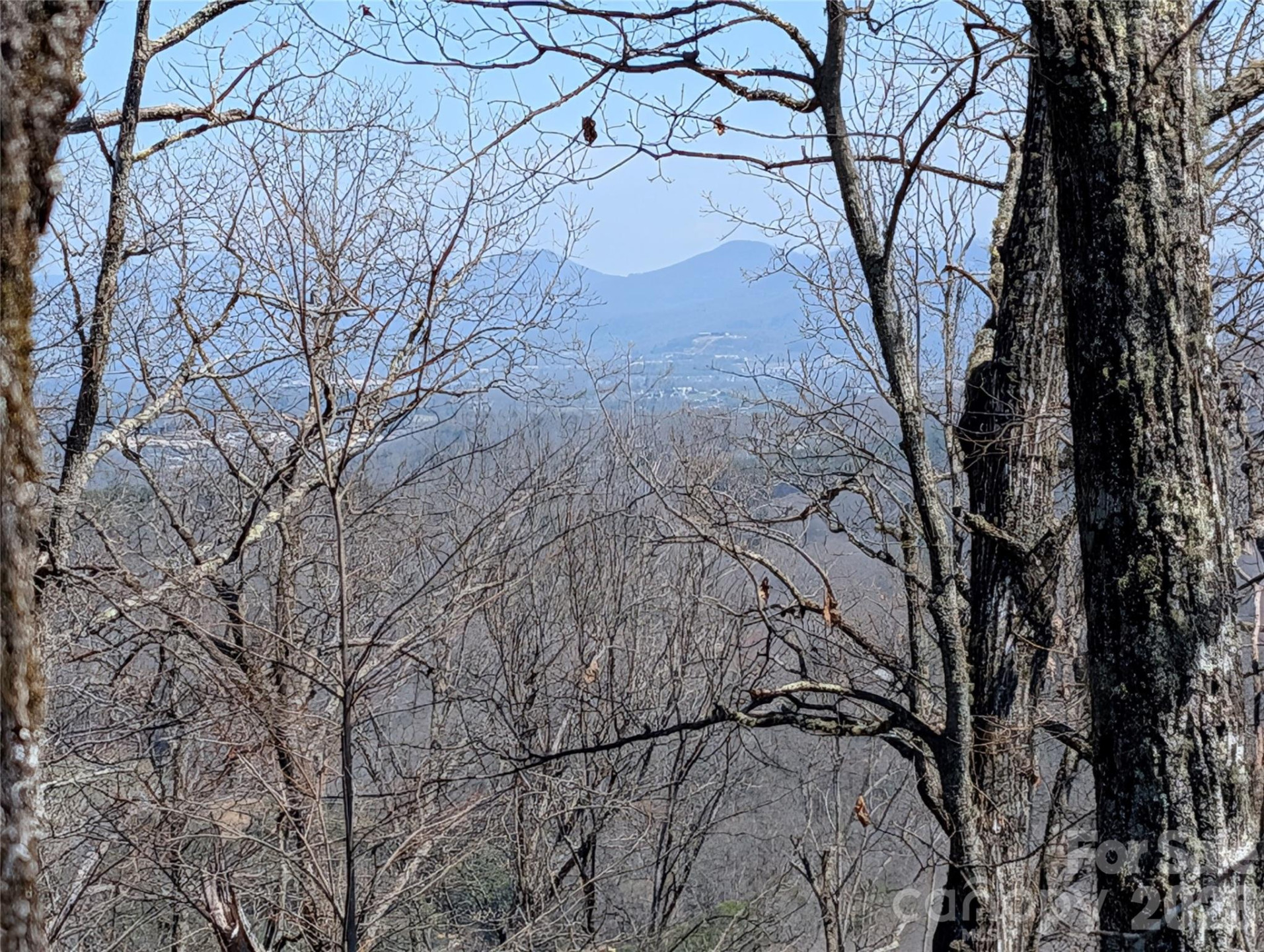 1094 Mills River Way - Photo 10