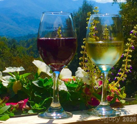 405 Johnathan Walk Road, Bryson City, NC, 28713