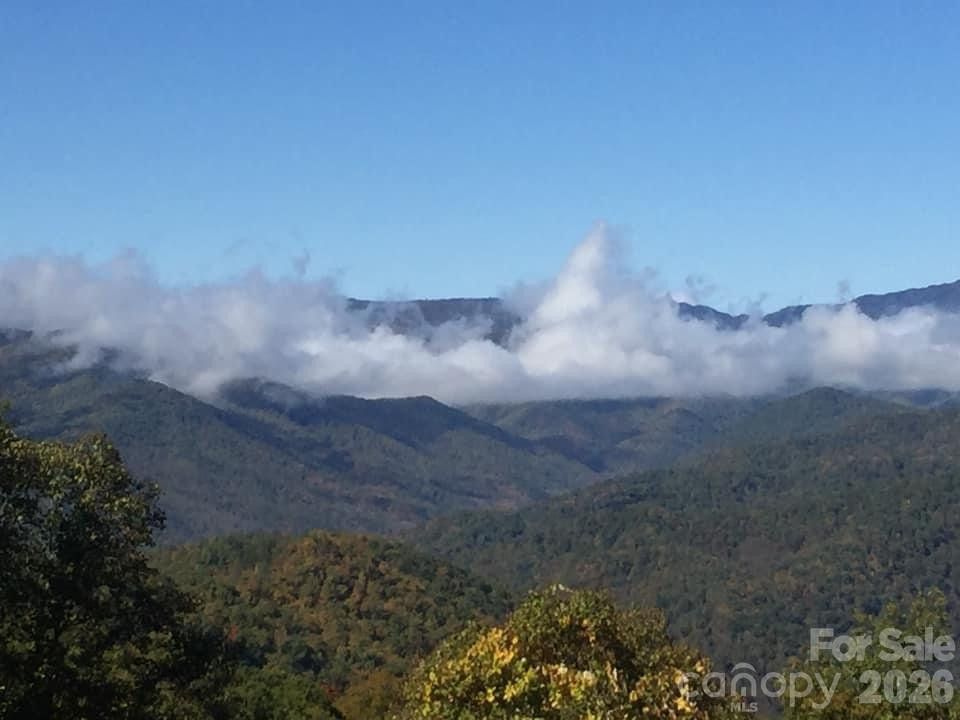 405 Johnathan Walk Road - Photo 35