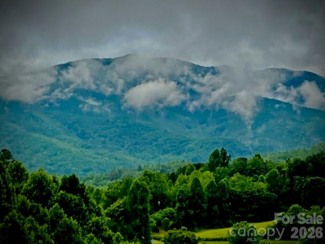 405 Johnathan Walk Road - Photo 36