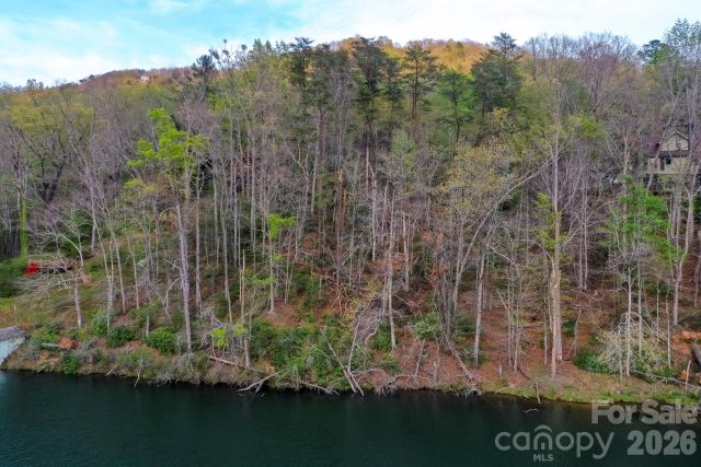 0000 Buffalo Creek Road, Lake Lure, NC, 28746
