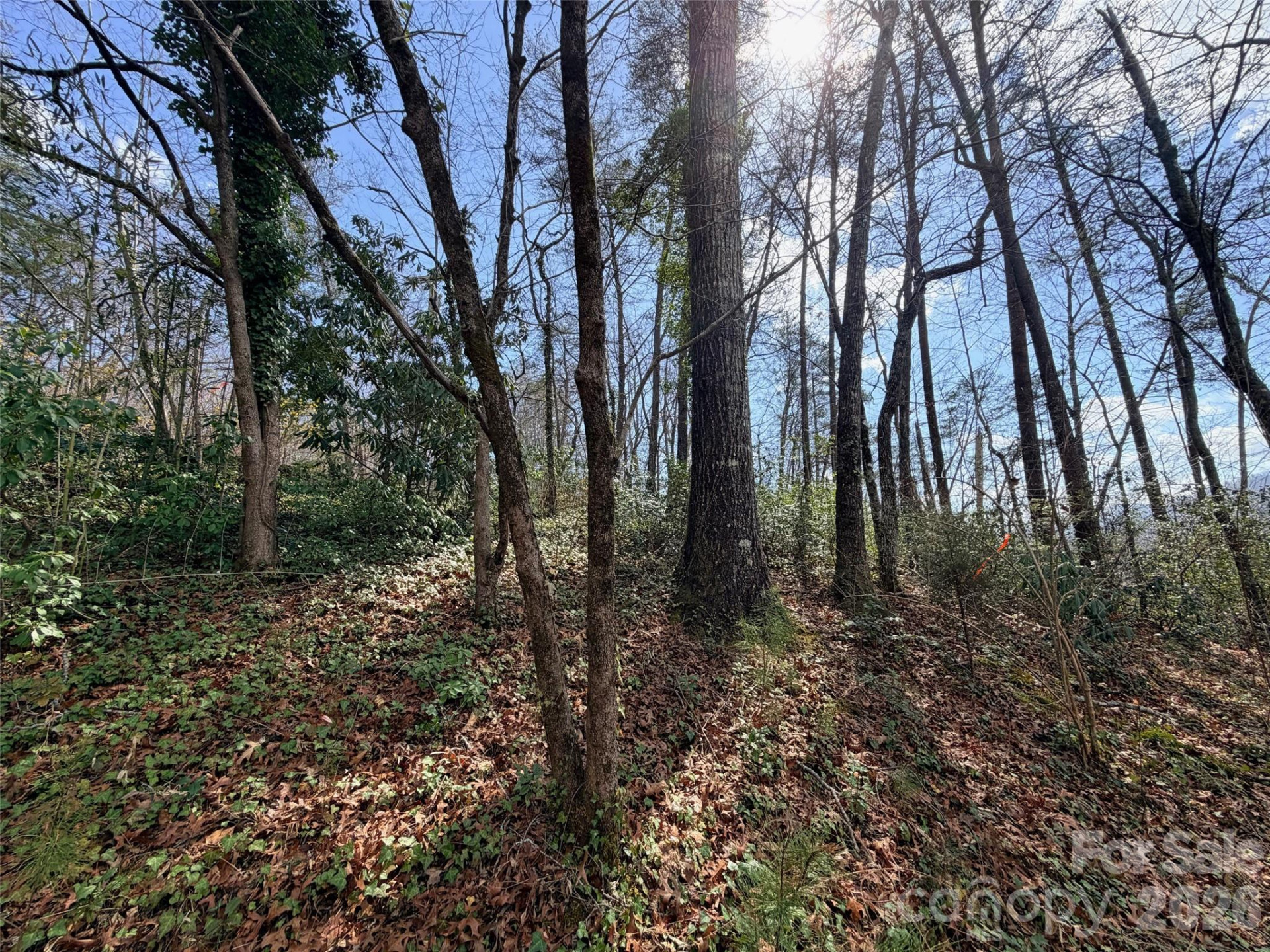 0000 Buffalo Creek Road - Photo 12