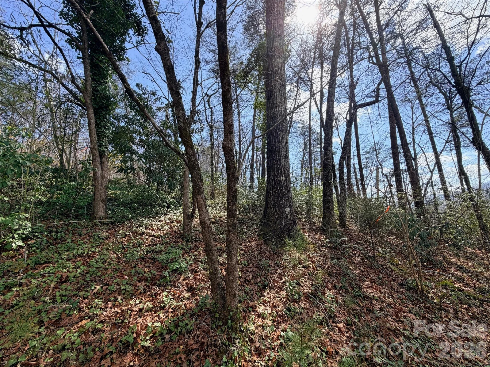 0000 Buffalo Creek Road - Photo 12