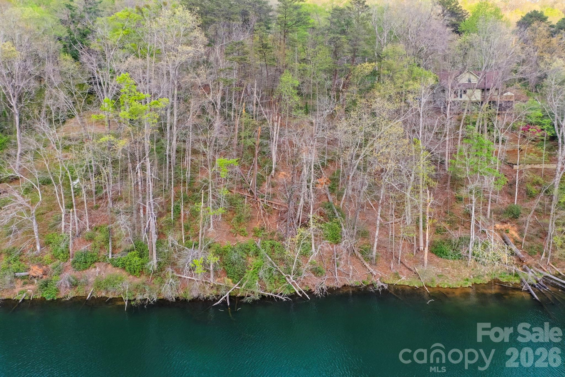 0000 Buffalo Creek Road - Photo 5