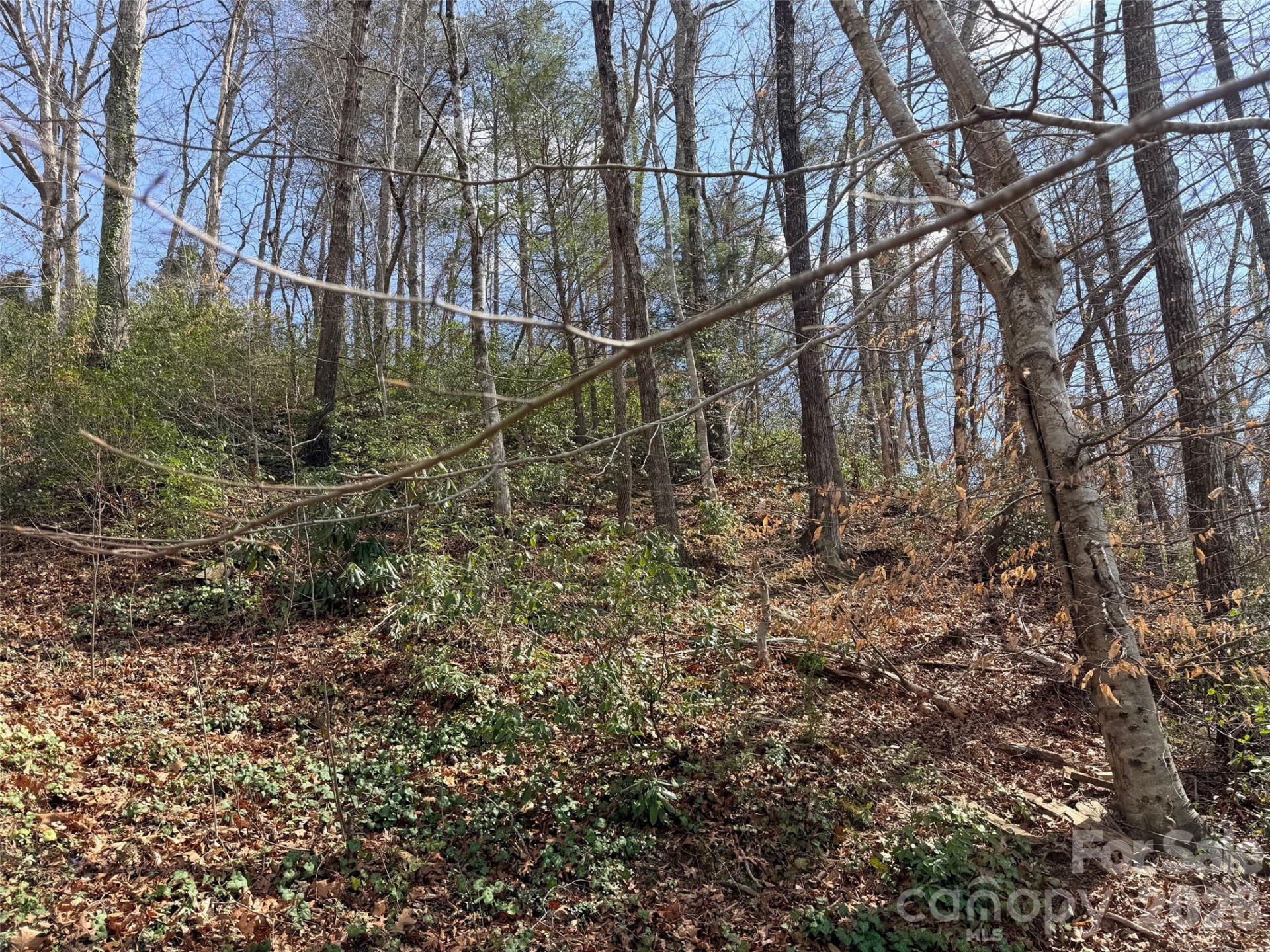 0000 Buffalo Creek Road - Photo 10