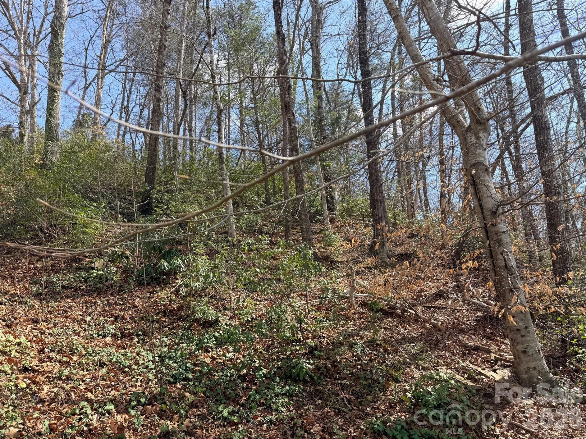 0000 Buffalo Creek Road - Photo 10