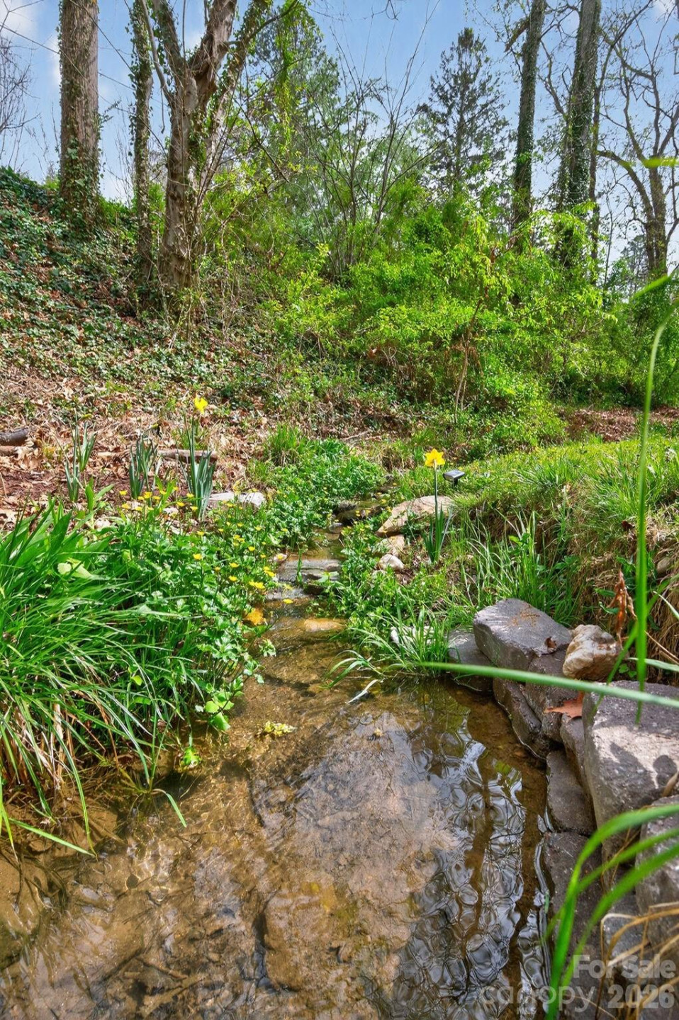 3 Ellenwood Drive - Photo 37