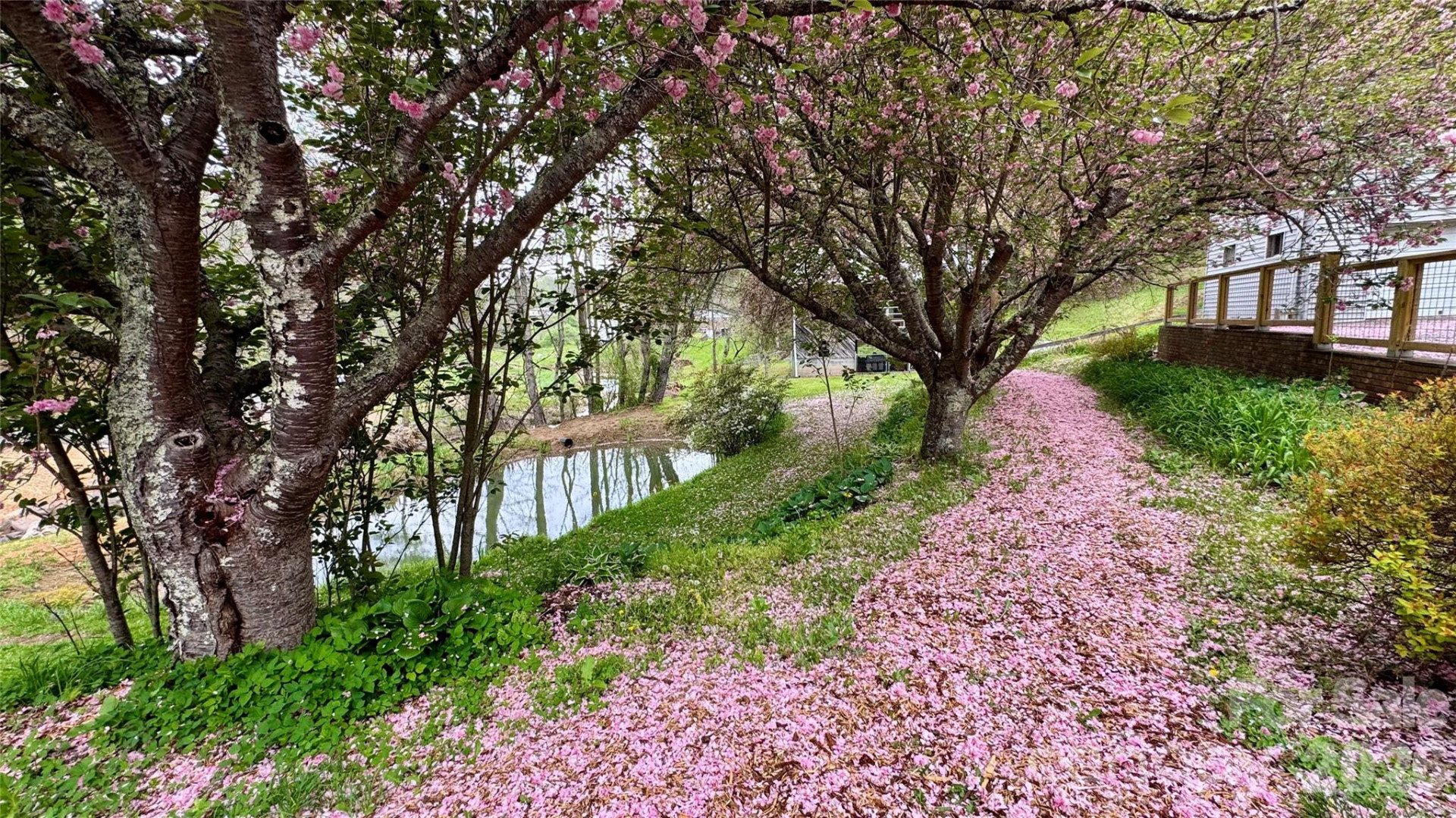 6334 Jacks Creek Road - Photo 25