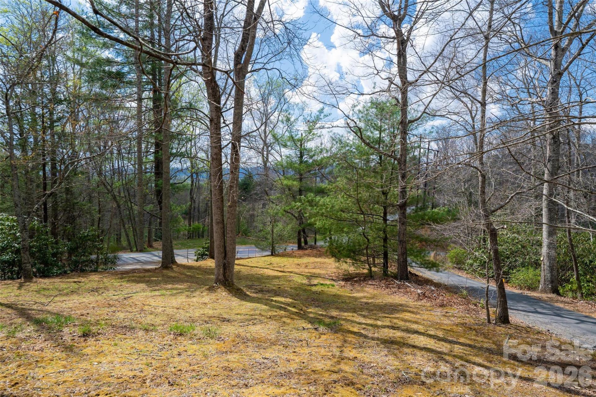 233 Church Road - Photo 39