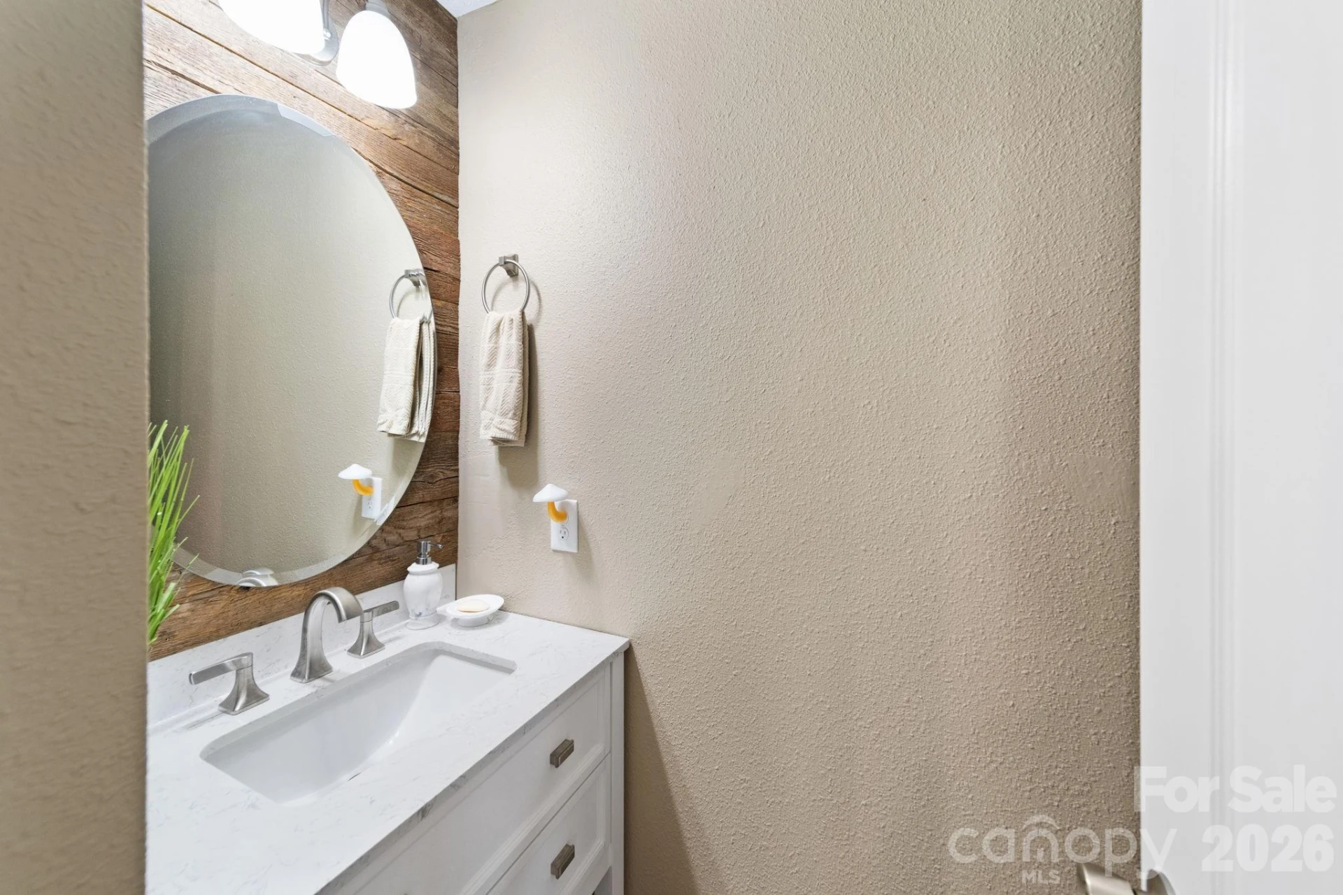 711 Skywatch Lane - Photo 19