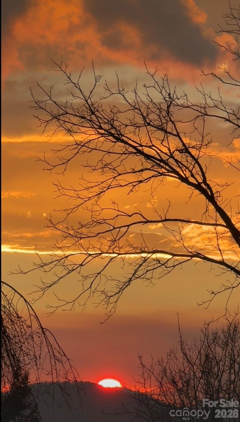 81 Edgemont Road - Photo 48