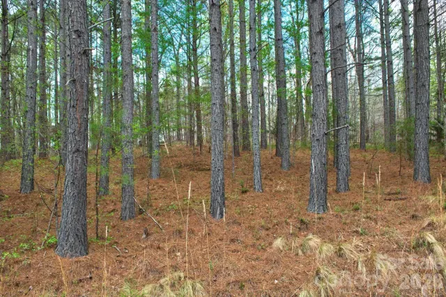 0 Clearwater Parkway, Rutherfordton, NC, 28139
