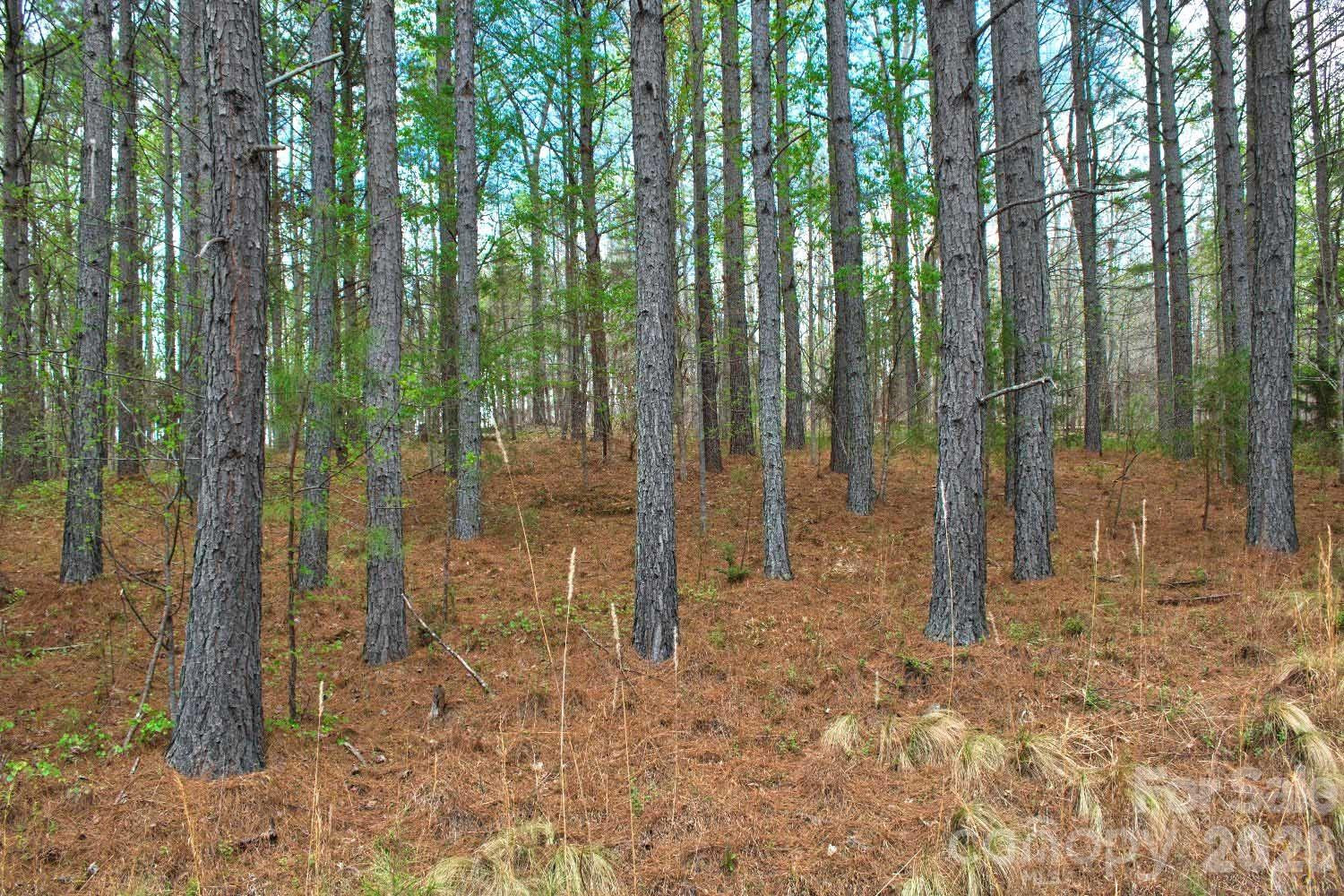 0 Clearwater Parkway #14