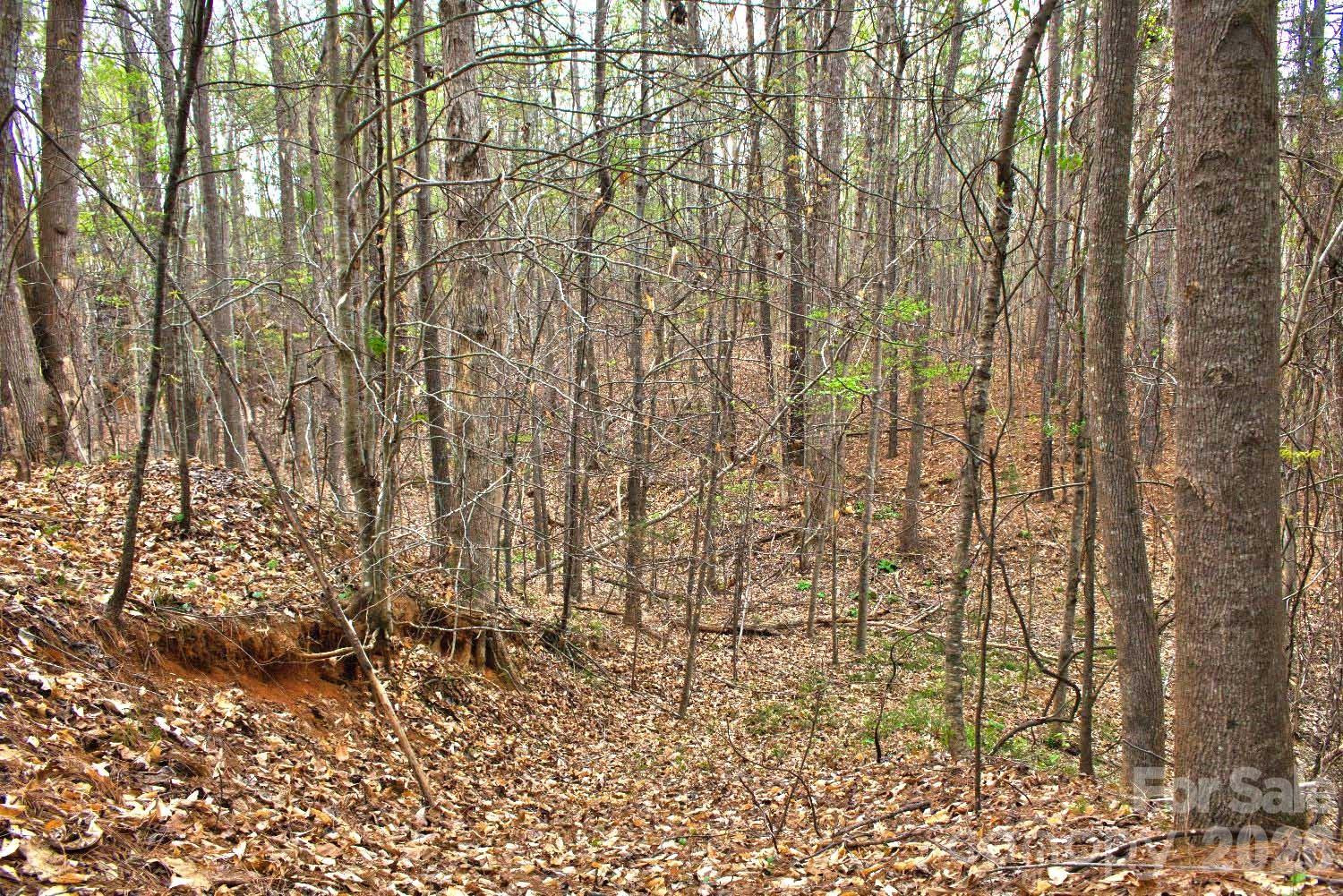 0 Clearwater Parkway #14 - Photo 2