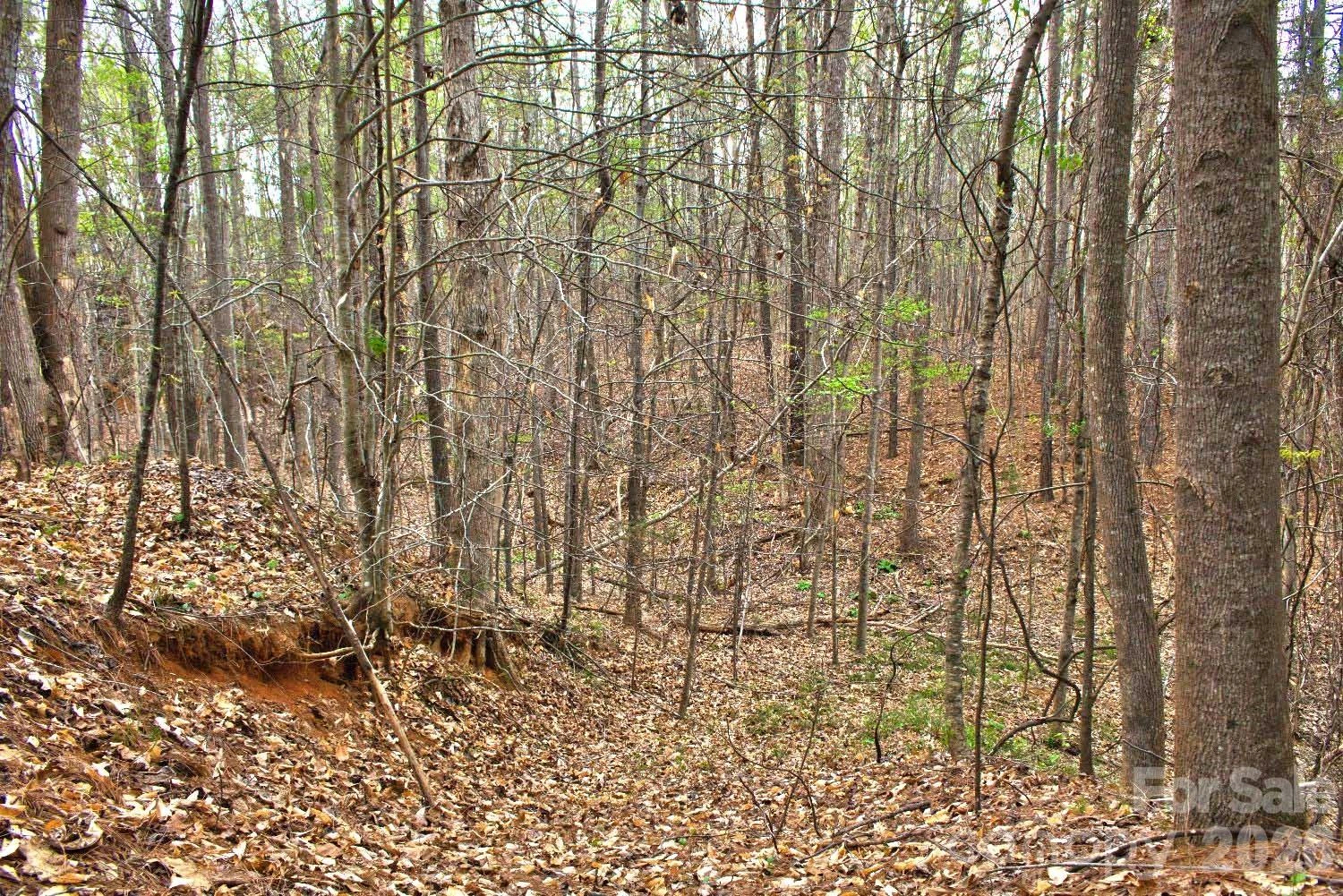 0 Clearwater Parkway #14 - Photo 2