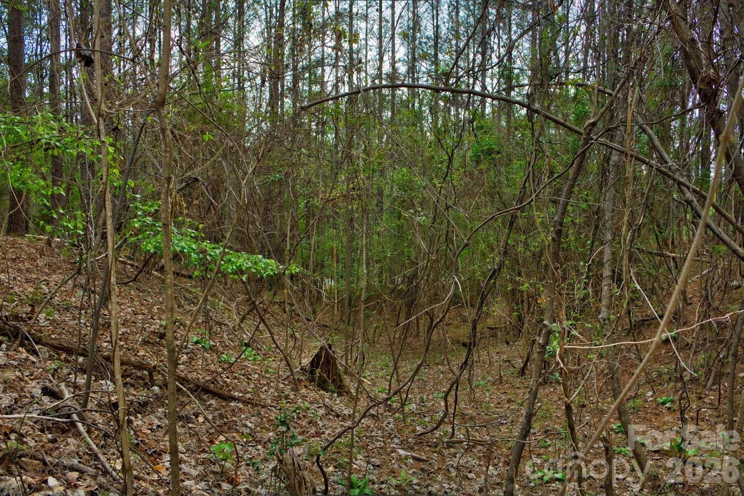 0 Clearwater Parkway #14 - Photo 3
