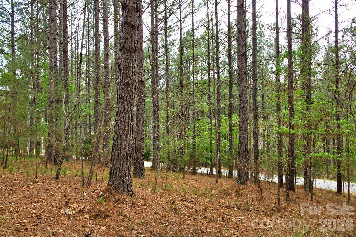 0 Clearwater Parkway #14 - Photo 4