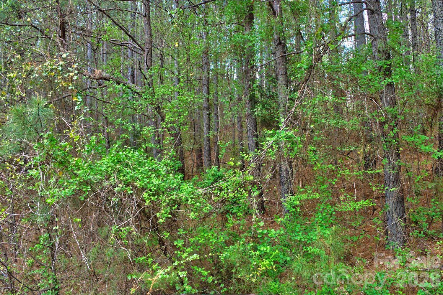 0 Clearwater Parkway #14 - Photo 5