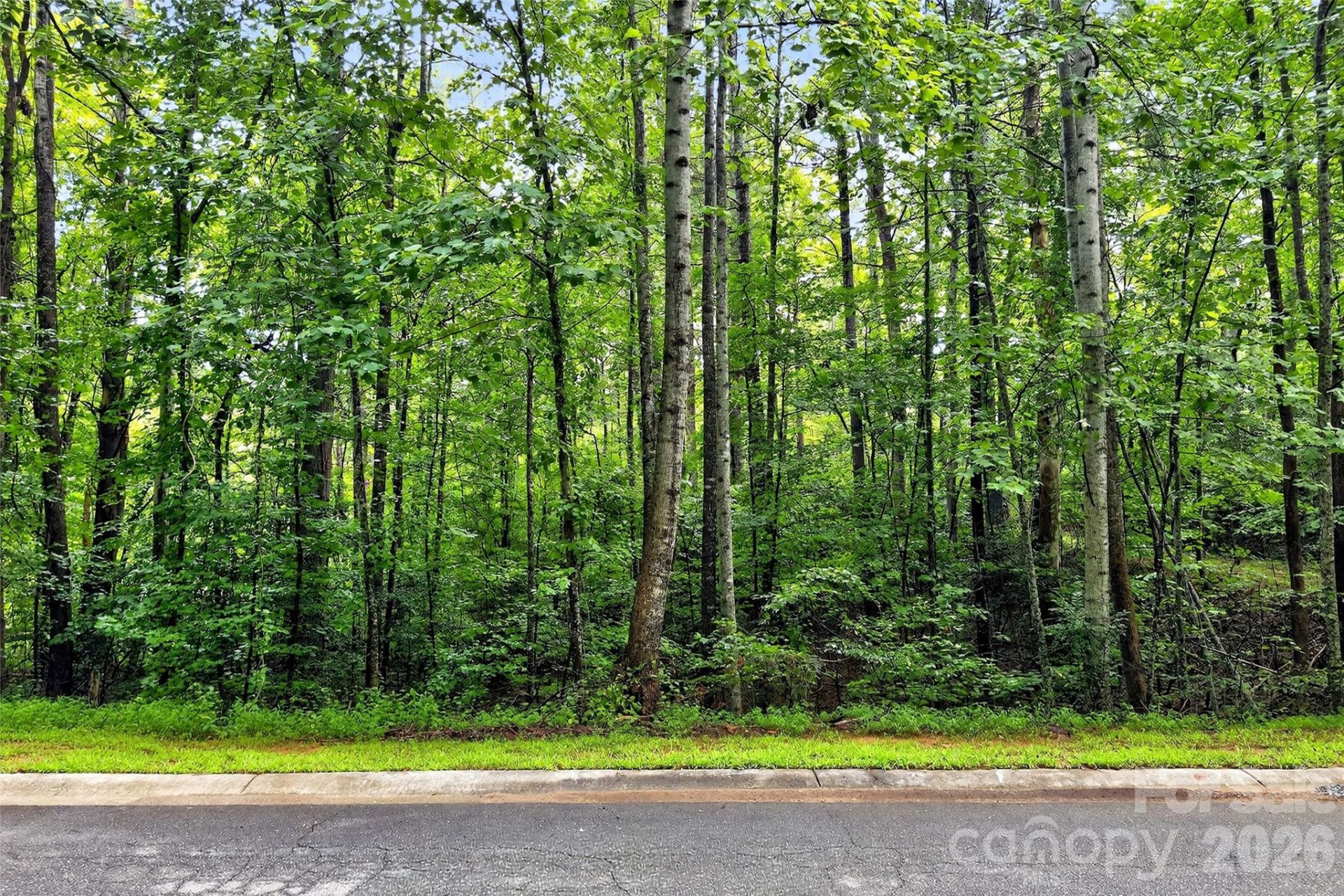 2361 Lake Forest Cove #13 - Photo 25