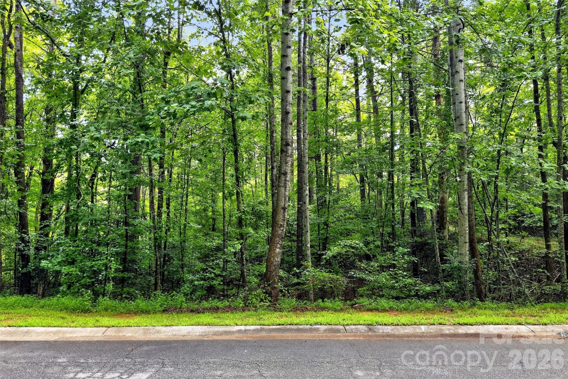 2361 Lake Forest Cove #13 - Photo 25