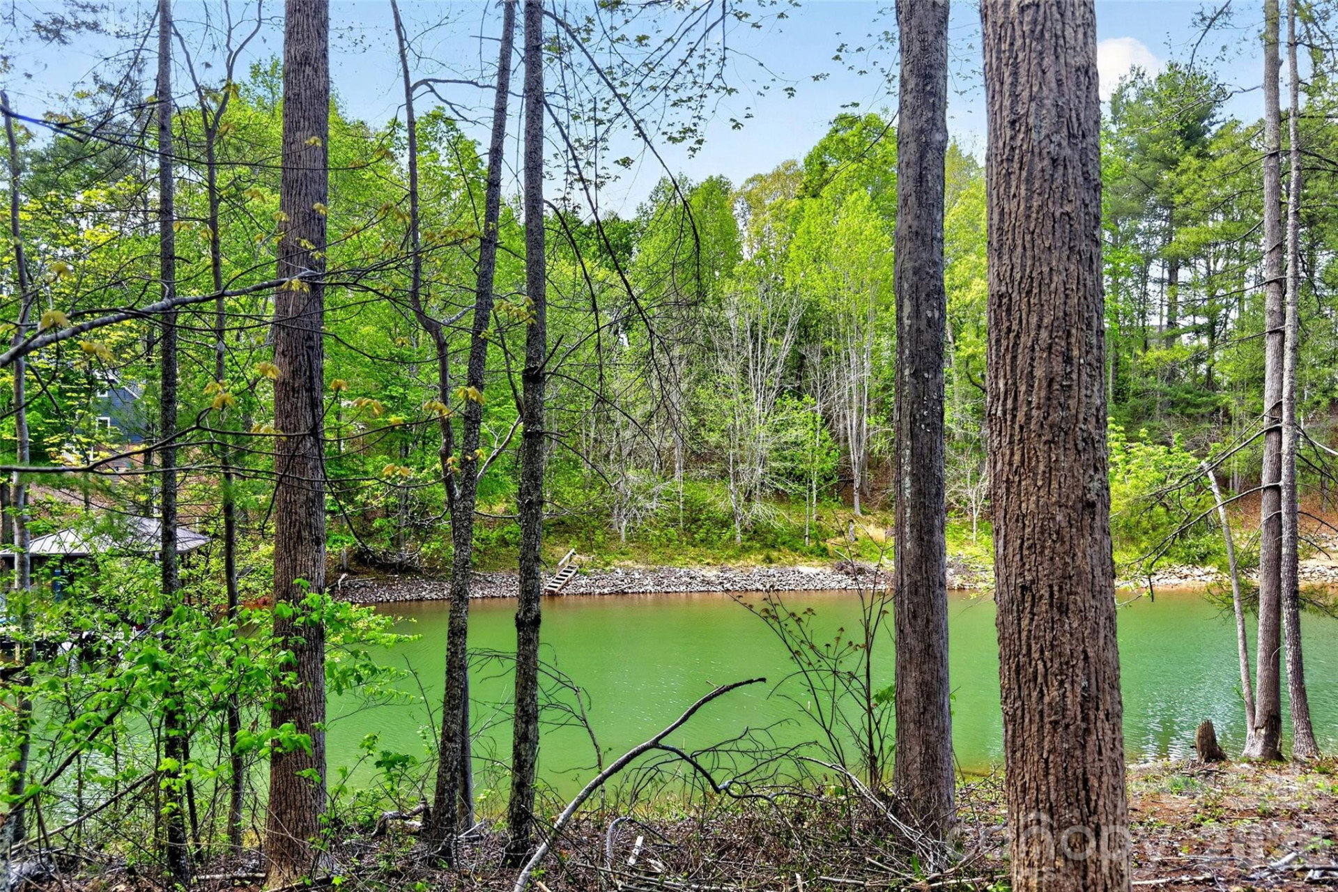 2361 Lake Forest Cove #13 - Photo 3