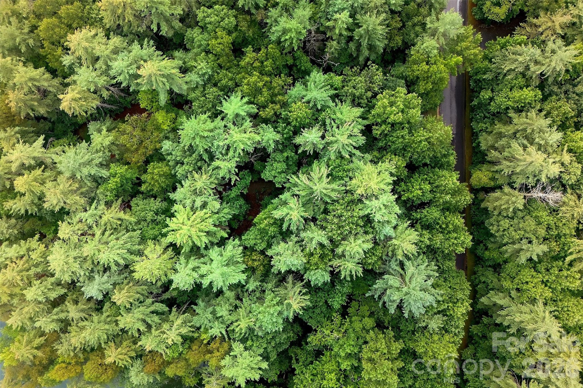 2361 Lake Forest Cove #13 - Photo 34