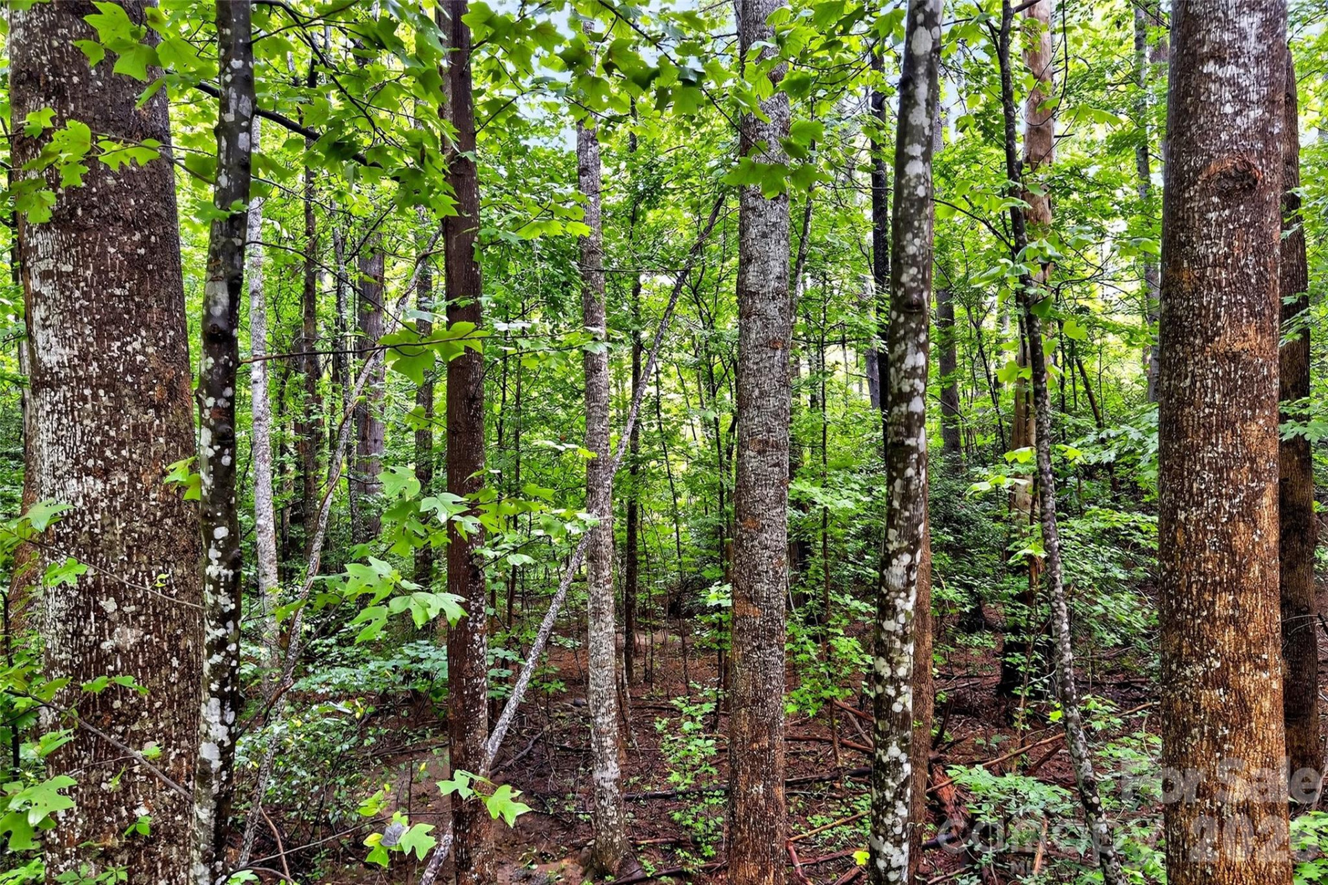 2361 Lake Forest Cove #13 - Photo 35