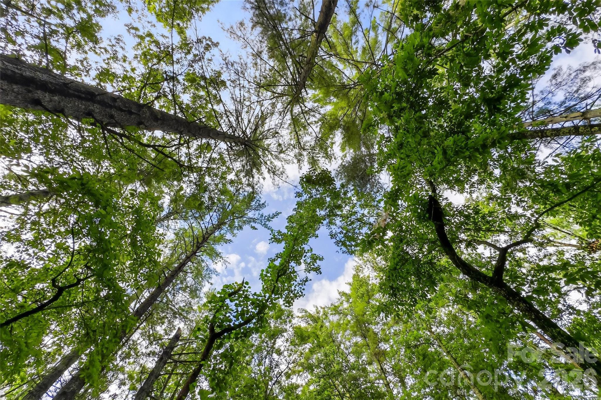 2361 Lake Forest Cove #13 - Photo 36