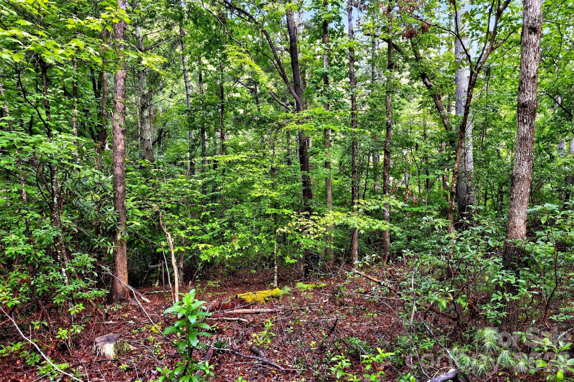 2361 Lake Forest Cove #13 - Photo 37