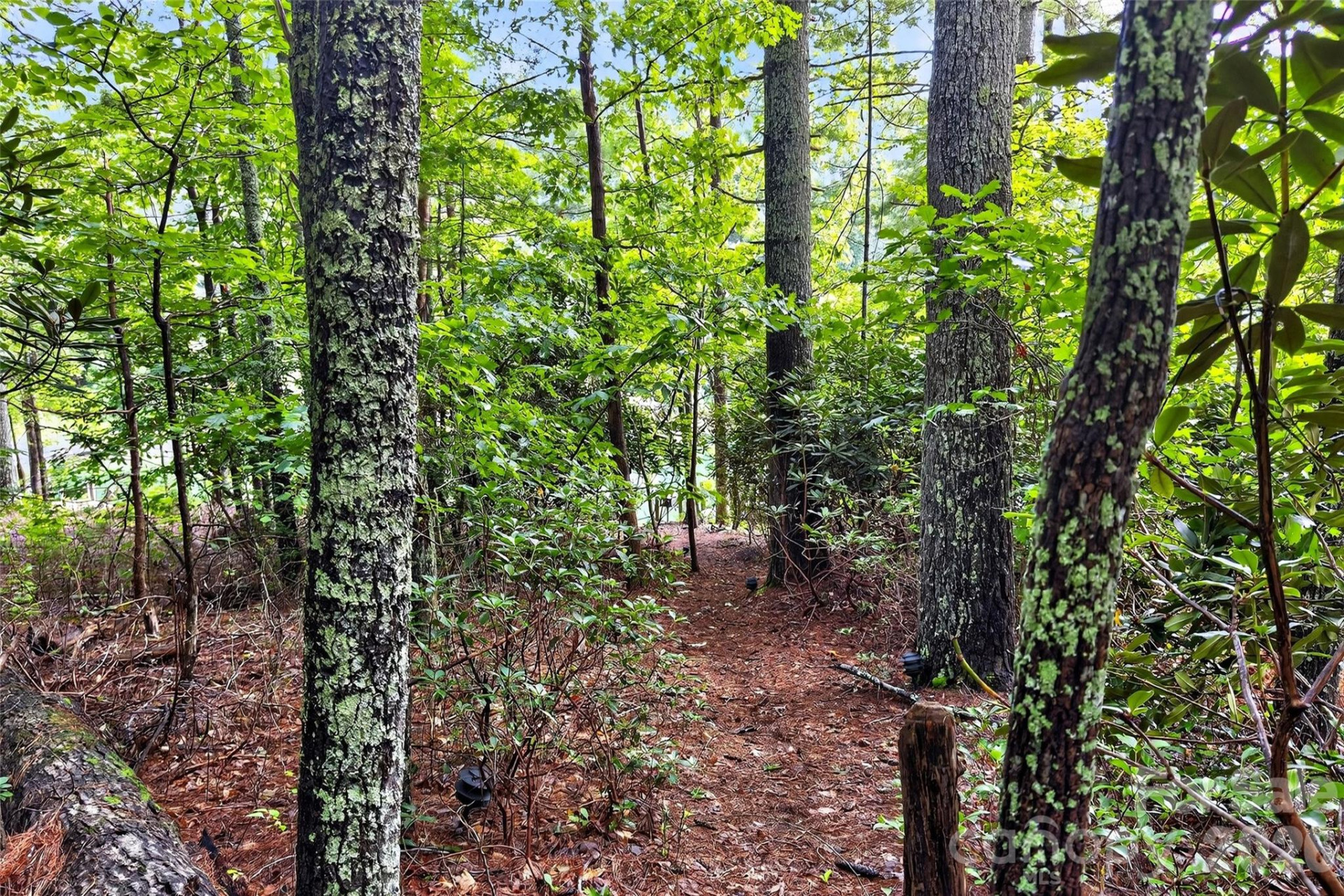 2361 Lake Forest Cove #13 - Photo 38