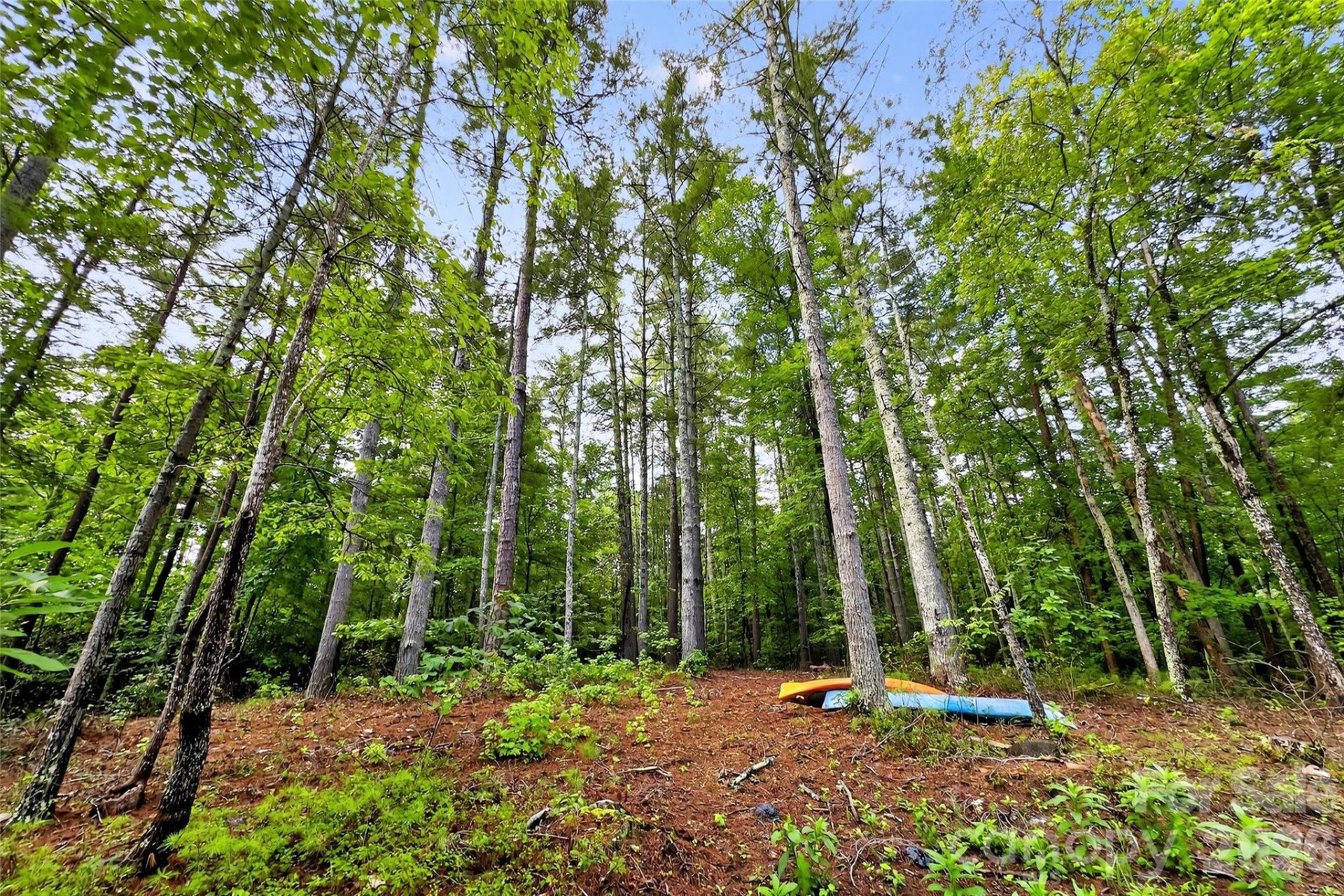 2361 Lake Forest Cove #13 - Photo 39