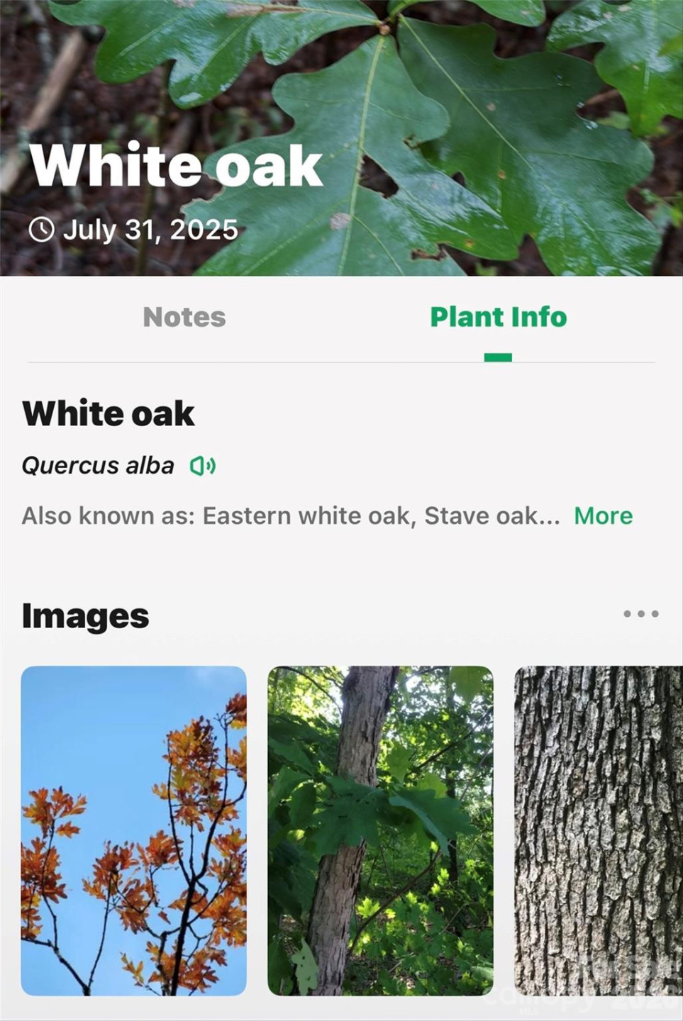 2361 Lake Forest Cove #13 - Photo 40