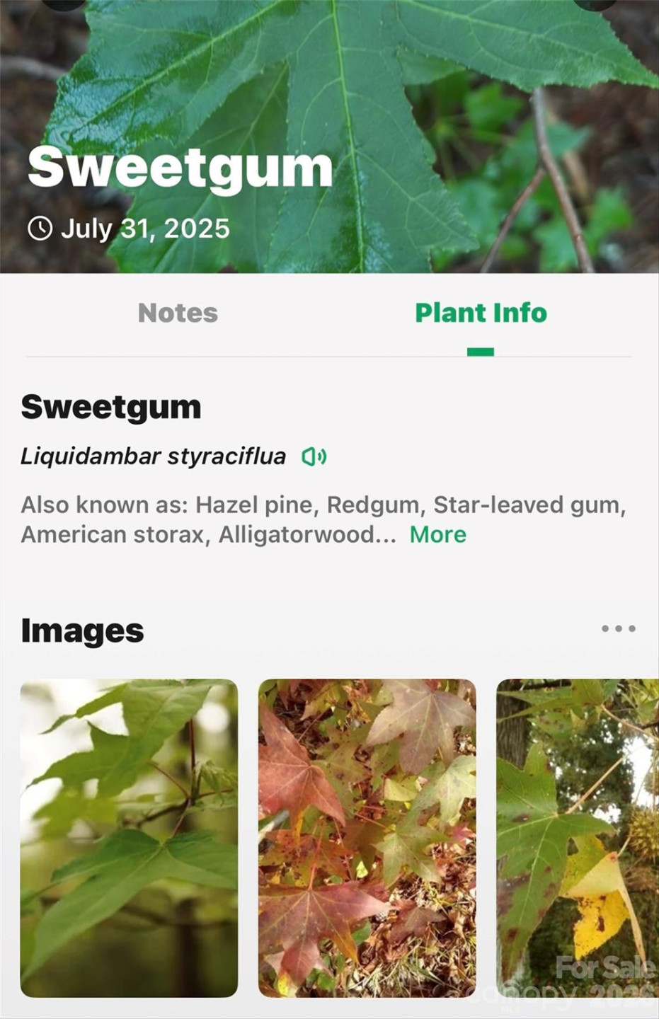 2361 Lake Forest Cove #13 - Photo 41