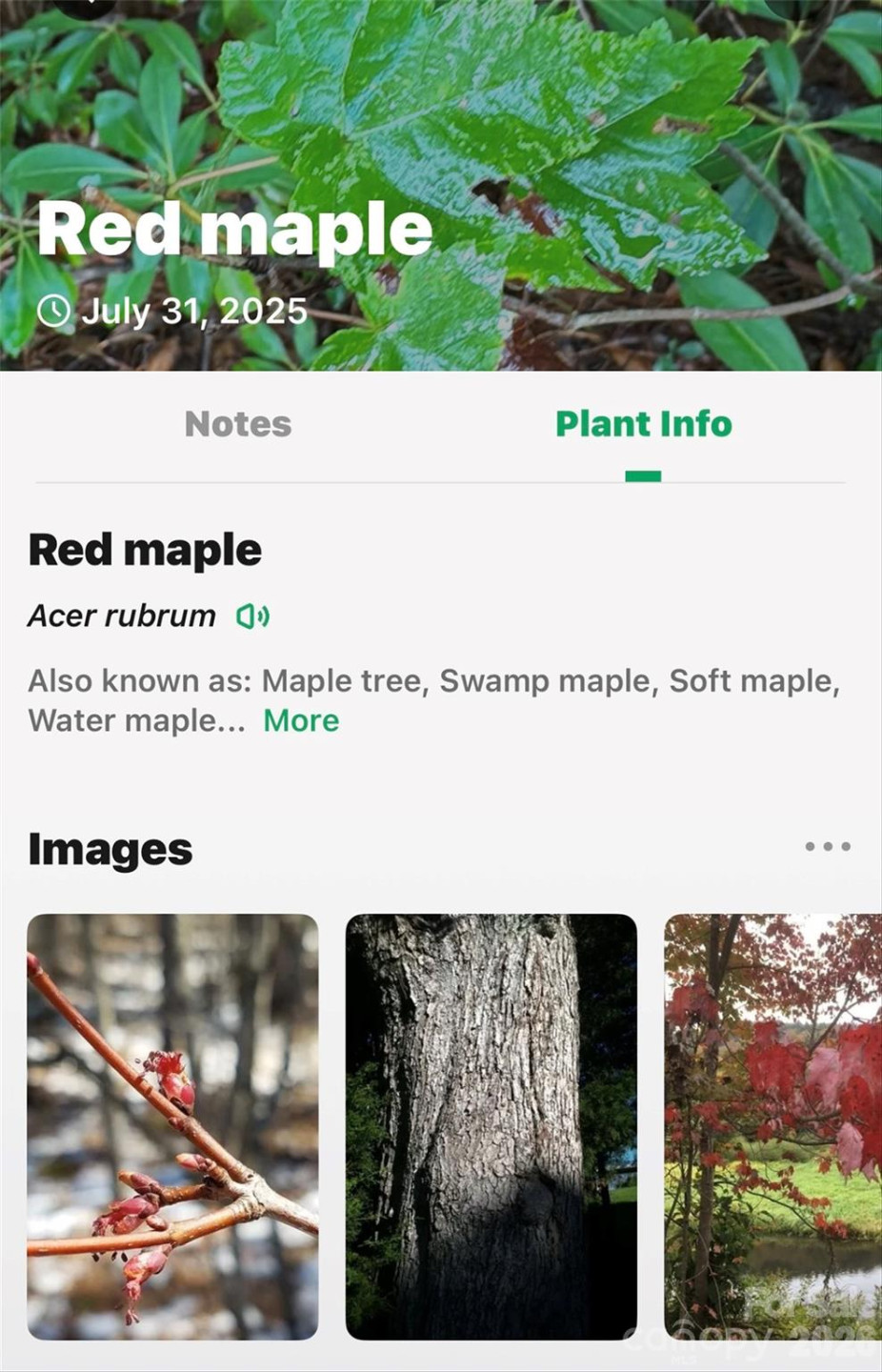 2361 Lake Forest Cove #13 - Photo 42