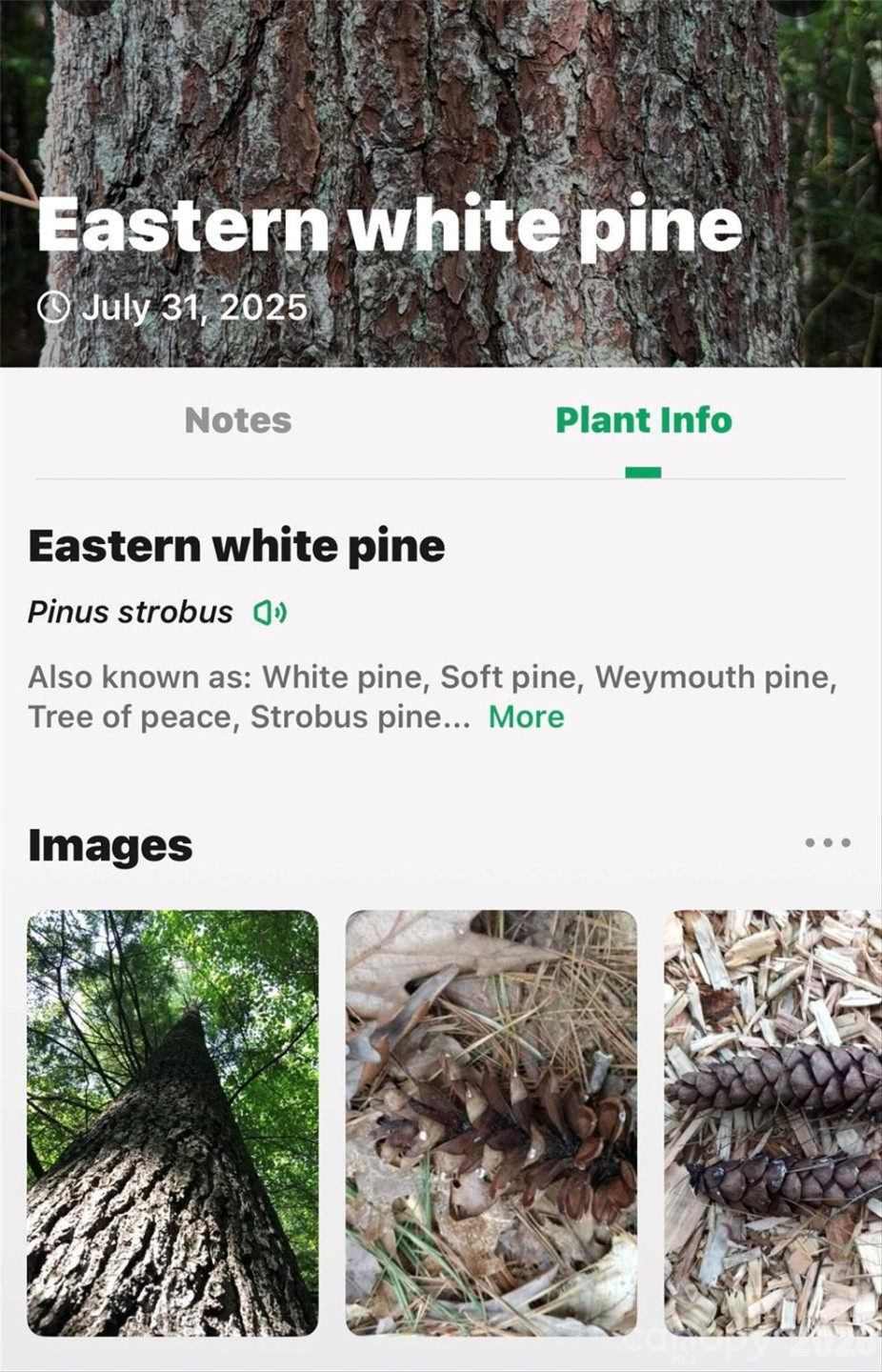 2361 Lake Forest Cove #13 - Photo 43