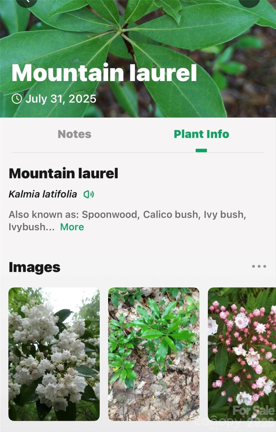 2361 Lake Forest Cove #13 - Photo 45