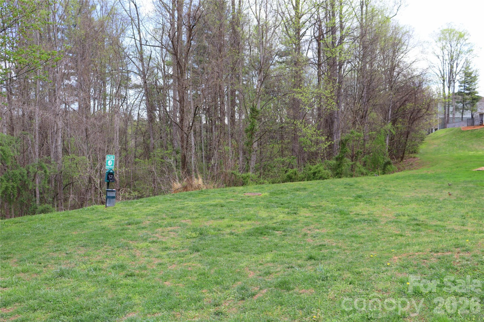 700 Vista Lake Drive #104 - Photo 32