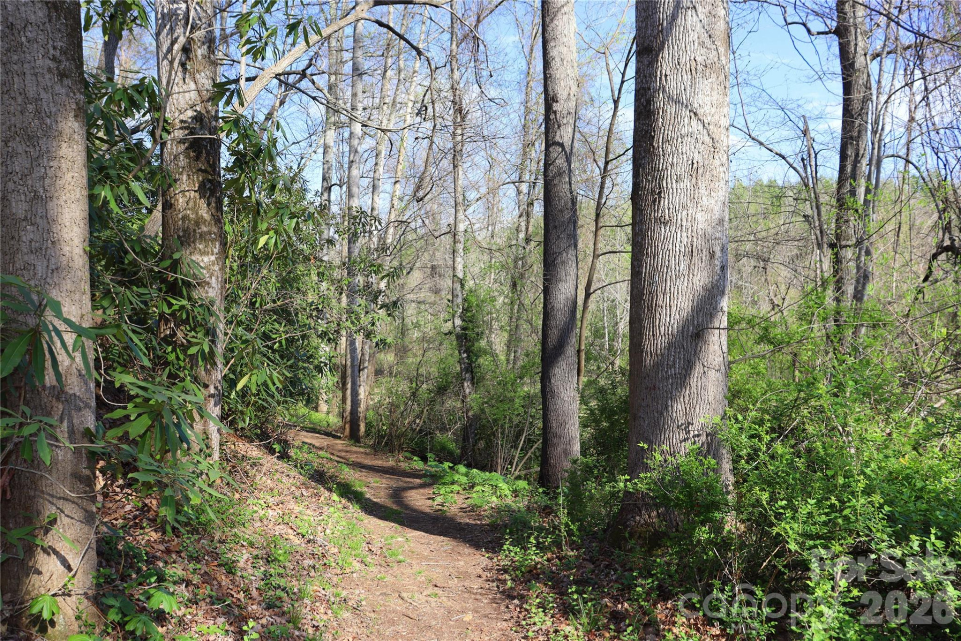 700 Vista Lake Drive #104 - Photo 45