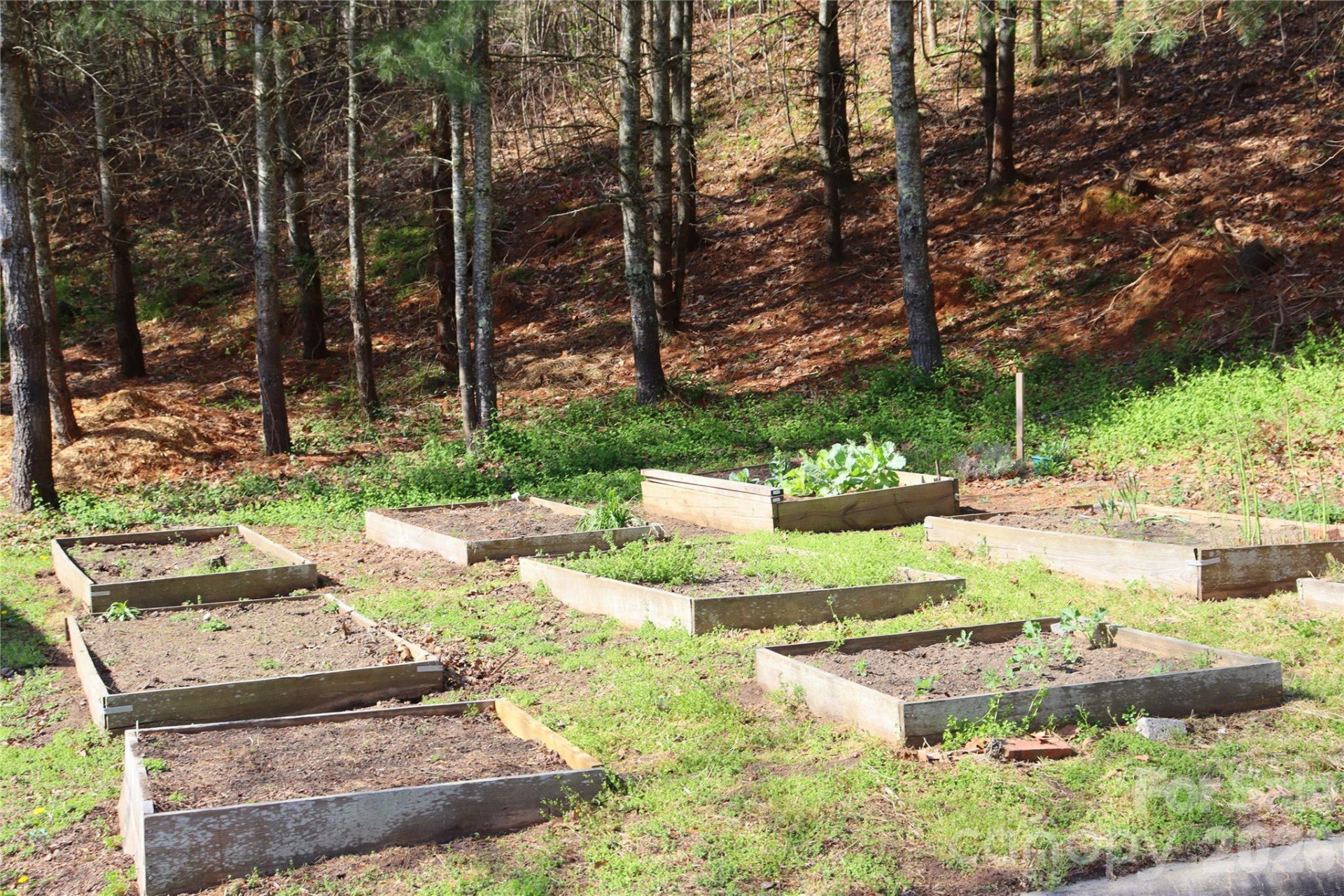 700 Vista Lake Drive #104 - Photo 46