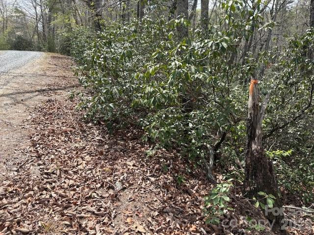 0 Poodles Way #291 - Photo 2