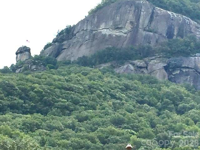 0 Poodles Way #291 - Photo 12